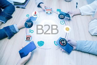 2018年美國B2B電商市場報(bào)告 食品加工通用設(shè)備行業(yè)深度解析