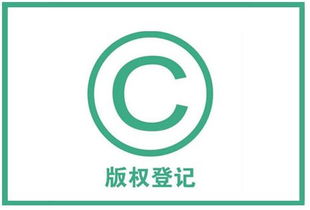 軟件著作權(quán)侵權(quán)的證據(jù)材料清單與知識(shí)產(chǎn)權(quán)服務(wù)指引