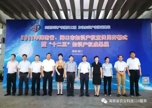 2017年海南省知識(shí)產(chǎn)權(quán)十大社會(huì)關(guān)注熱點(diǎn) 聚焦服務(wù)創(chuàng)新與產(chǎn)業(yè)升級(jí)
