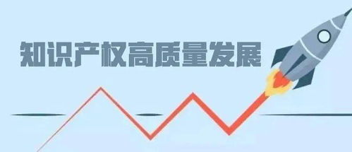 交出知識(shí)產(chǎn)權(quán)高質(zhì)量發(fā)展湖南答卷 打造創(chuàng)新高地，賦能產(chǎn)業(yè)未來(lái)