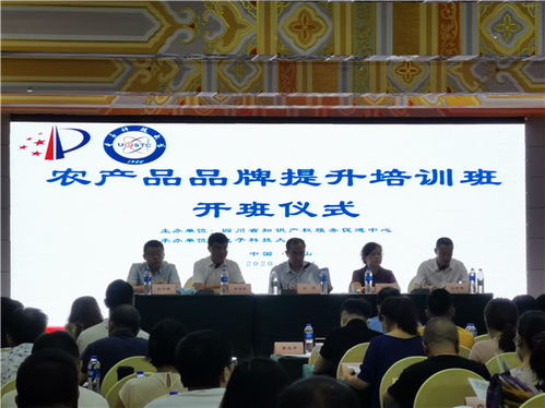 全省農產品品牌提升培訓班在眉召開 聚焦知識產權服務賦能產業高質量發展